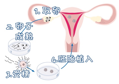 中心环境